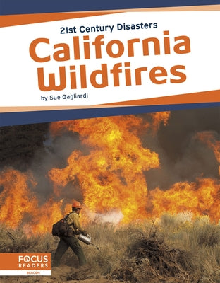 California Wildfires by Gagliardi, Sue