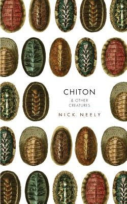 Chiton & Other Creatures by Neely, Nicholas