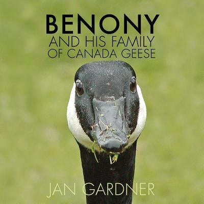 Benony and His Family of Canada Geese by Gardner, Jan