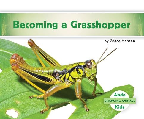Becoming a Grasshopper by Hansen, Grace