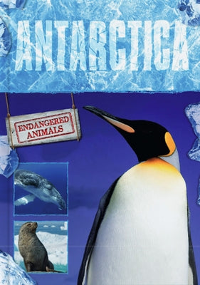 Antarctica by Jones, Grace