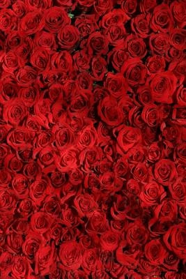 Red Roses: Red Roses Stand for Passion, True Love, Romance and Desire. the Red Rose Is a Classic I Love You Rose. When Red Roses by Journals, Planners and
