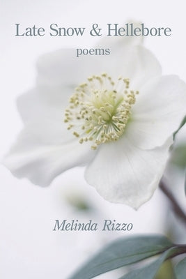 Late Snow and Hellebore by Rizzo, Melinda