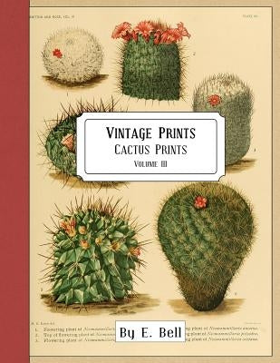 Vintage Prints: Cactus Prints by Bell, E.