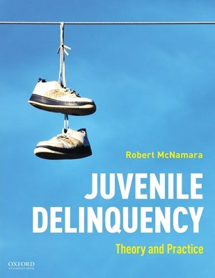 Juvenile Delinquency: Theory to Practice by McNamara, Robert