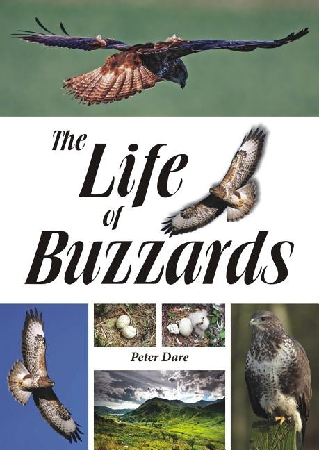 The Life of Buzzards by Dare, Peter