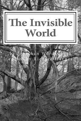 The Invisible World: Lectures on British Romantic Poetry and the Romantic Imagination by Haynes, Richard