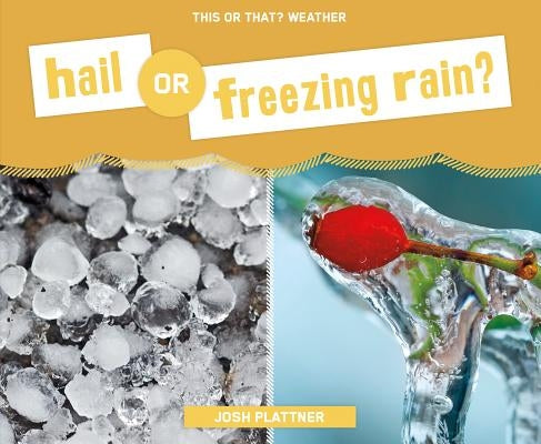 Hail or Freezing Rain? by Plattner, Josh