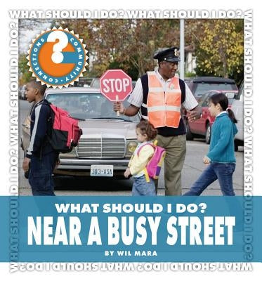 What Should I Do? Near a Busy Street by Mara, Wil