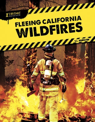 Fleeing California Wildfires by Hamilton, John