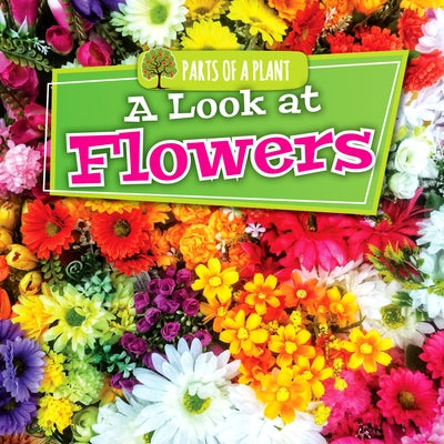 A Look at Flowers by Lowe, Lindsey