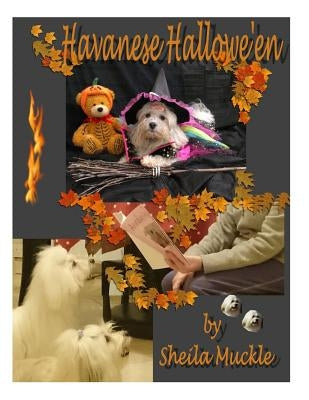 Havanese Hallowe'en by Muckle, Sheila