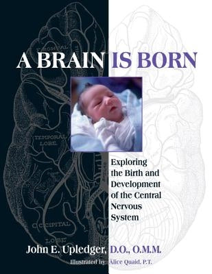 A Brain Is Born: Exploring the Birth and Development of the Central Nervous System by Upledger, John E.
