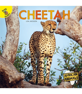 Cheetah by Jackson, Lisa