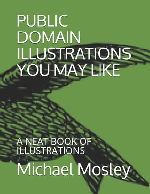 Public Domain Illustrations You May Like: A Neat Book of Illustrations by Mosley, Michael