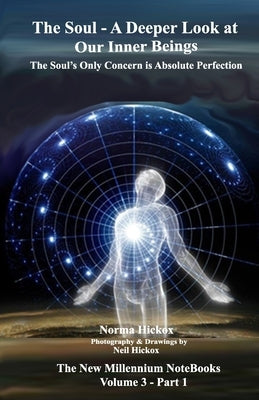 The Soul - A Deeper Look at Our Inner Beings: The Soul's Only Concern is Absolute Perfection by Hickox, Neil