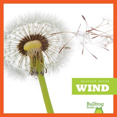 Wind by VanVoorst, Jennifer Fretland