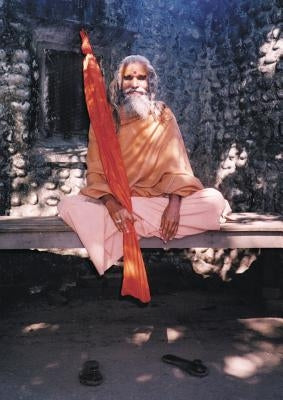 Dandi Swami: The Story of the Guru's Will, Maharishi Mahesh Yogi, the Shankaracharyas of Jyotir Math, & Meetings with Dandi Swami N by Mason, Paul