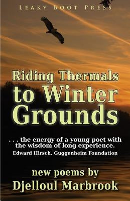 Riding Thermals to Winter Grounds by Marbrook, Djelloul