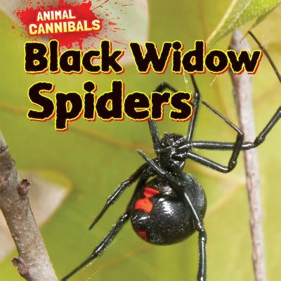 Black Widow Spiders by Hesper, Sam