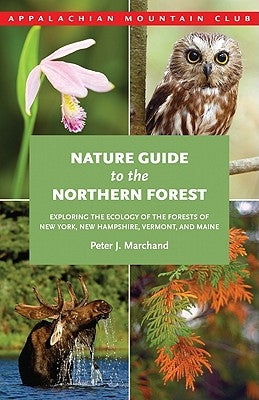 Nature Guide to the Northern Forest: Exploring the Ecology of the Forests of New York, New Hampshire, Vermont, and Maine by Marchand, Peter