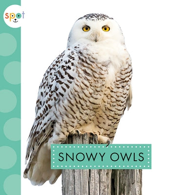Snowy Owls by Suen, Anastasia