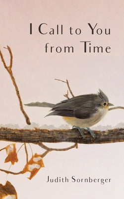 I Call to You from Time by Sornberger, Judith