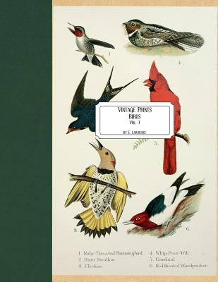 Vintage Prints: Birds: Vol. 7 by Lawrence, E.