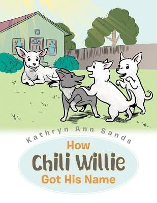 How Chili Willie Got His Name by Sands, Kathryn Ann