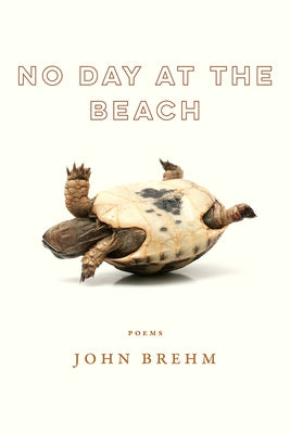 No Day at the Beach by Brehm, John