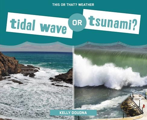 Tidal Wave or Tsunami? by Doudna, Kelly