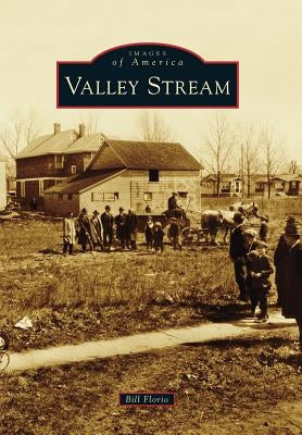 Valley Stream by Florio, Bill
