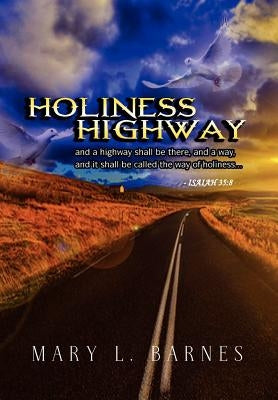 Holiness Highway by Barnes, Mary L.