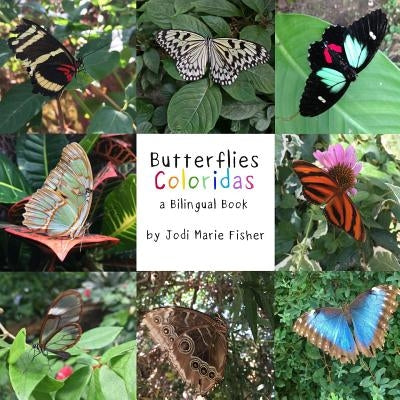 Butterflies Coloridas by Fisher, Jodi Marie