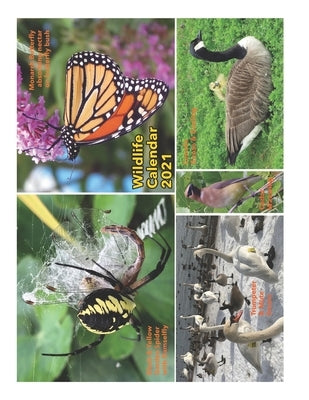 Wildlife Calendar 2021 by Fanson, Barbara a.