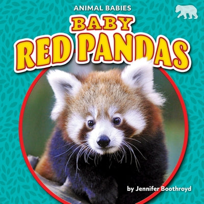 Baby Red Pandas by Boothroyd, Jennifer