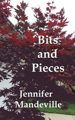 Bits and Pieces: A Young Girl's Musings by Foertmeyer, C. H.