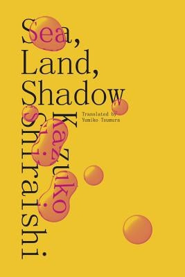 Sea, Land, Shadow by Shiraishi, Kazuko