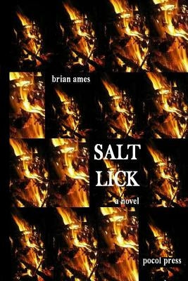 Salt Lick by Ames, Brian