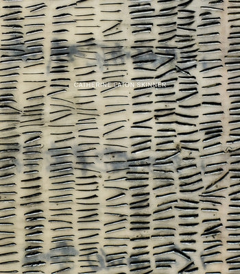 Catherine Eaton Skinner: 108 by Skinner, Catherine