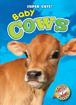 Baby Cows by Schuetz, Kari