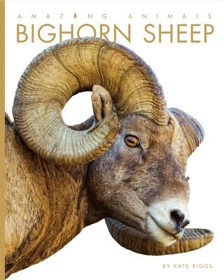Amazing Animals: Bighorn Sheep by Riggs, Kate