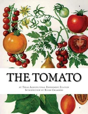 The Tomato by Chambers, Roger