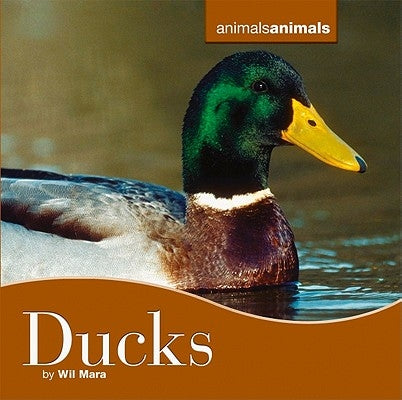 Ducks by Mara, Wil