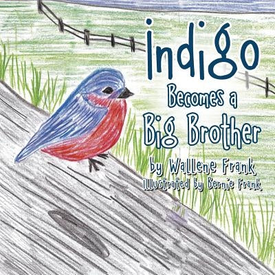 Indigo Becomes a Big Brother by Frank, Wallene
