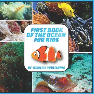 First Book Of The Ocean For Kids: Ocean Animals Activity Book by Publishing, Wildlife