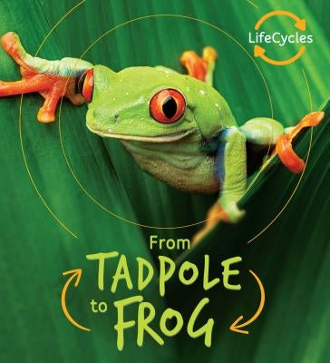 From Tadpole to Frog by De La Bedoyere, Camilla