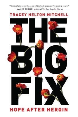 The Big Fix: Hope After Heroin by Helton Mitchell, Tracey