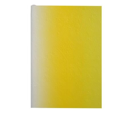 Christian LaCroix Neon Yellow A5 6" X 8" Ombre Paseo Notebook by LaCroix, Christian