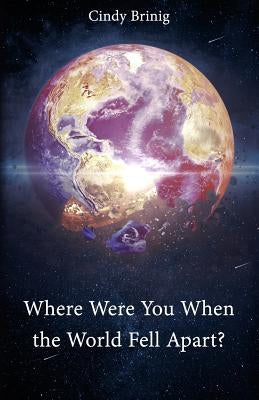 Where Were You When the World Fell Apart? by Brinig, Cindy